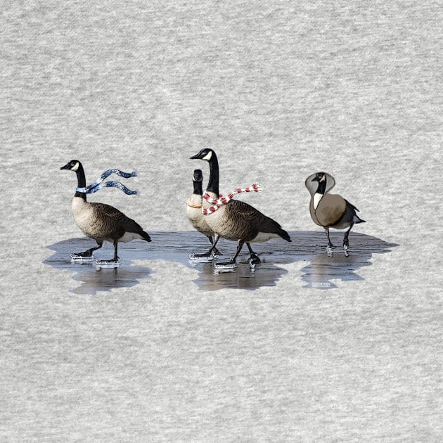 Cool Geese by bhymer